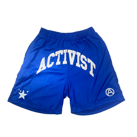 Mesh Shorts Blue