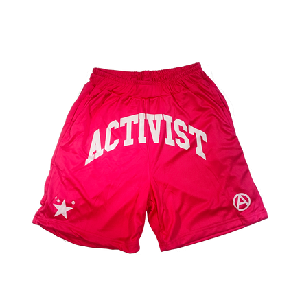Mesh Shorts Pink