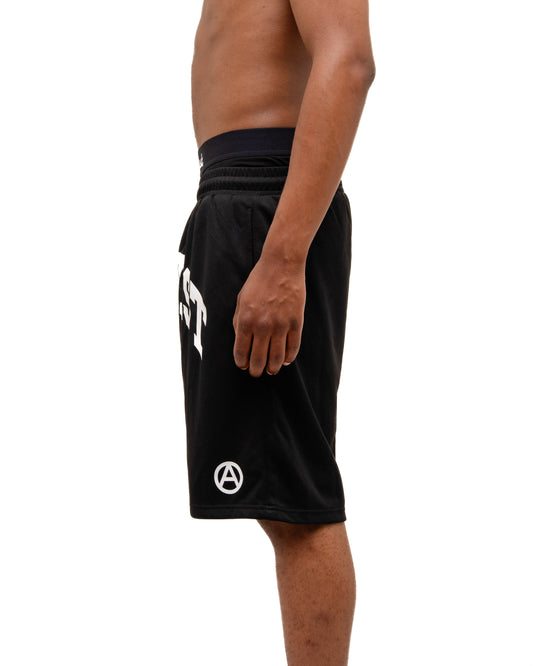 Mesh Shorts (Black)