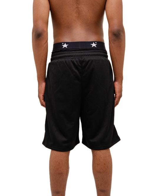 Mesh Shorts (Black)