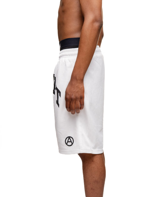 Mesh Shorts (White)
